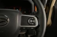 Daihatsu Taft 12 из 19