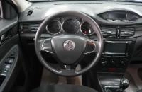 Dongfeng S30 10 из 20