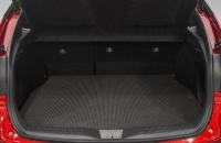 Toyota C-HR 26 из 26