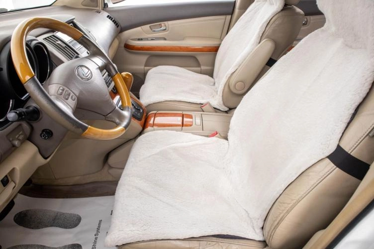 Lexus RX 10 из 28