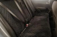 KIA Rio 17 из 18