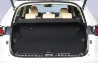 Lexus NX 18 из 18