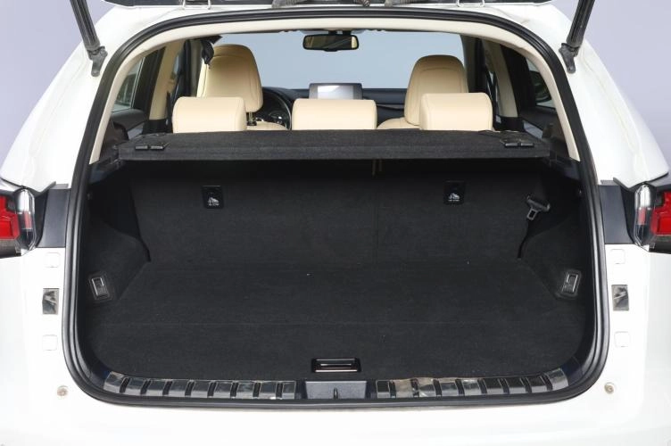 Lexus NX 18 из 18