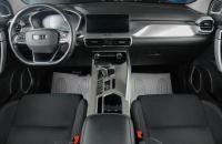 Geely Coolray 12 из 18