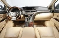 Lexus RX 8 из 19