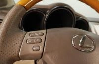 Lexus RX 10 из 17