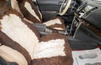 Nissan Teana 22 из 24