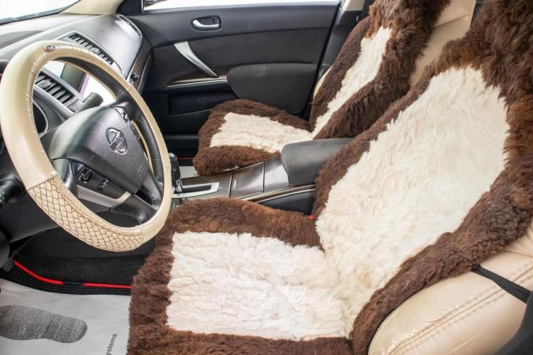 Nissan Teana 10 из 24