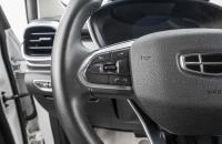 Geely Coolray 14 из 25
