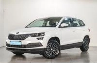 Skoda Karoq 3 из 19