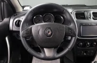 Renault Sandero Stepway 9 из 19