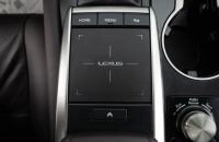 Lexus RX 28 из 37