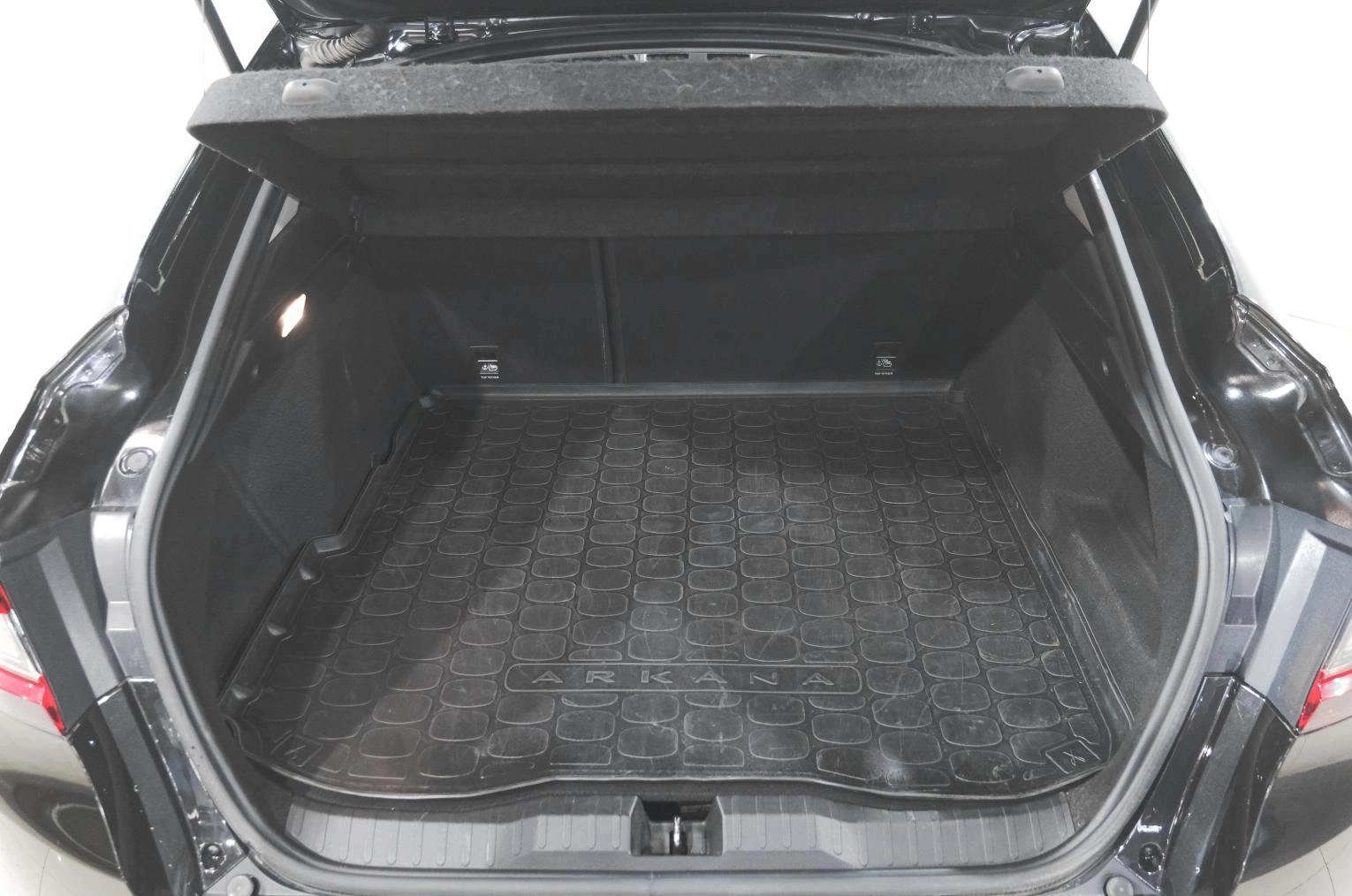 Renault Arkana 24 из 24