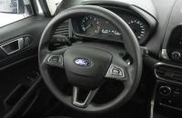 Ford EcoSport 12 из 22