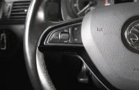Skoda Rapid 10 из 19