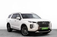 Hyundai Palisade 1 из 30