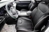 Hyundai Palisade 12 из 30